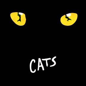 Cats Le Musical : Un spectacle complètement Miaouuu